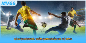 Cá Cược Bóng Đá - Niềm Đam Mê Của AE Mê Bóng 2025