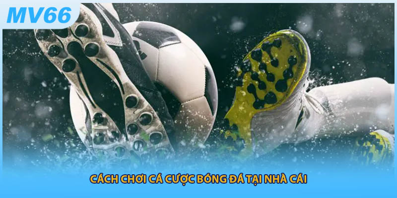 Cách chơi cá cược bóng đá tại nhà cái
