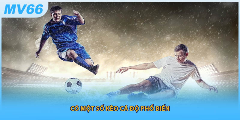 Có một số kèo cá độ phổ biến