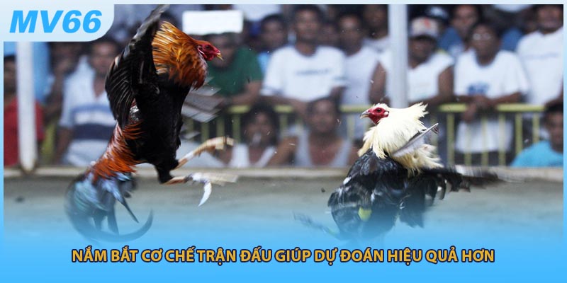 Nắm bắt cơ chế trận đấu giúp dự đoán hiệu quả hơn