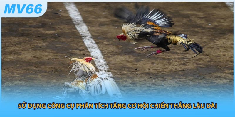Sử dụng công cụ phân tích tăng cơ hội chiến thắng lâu dài