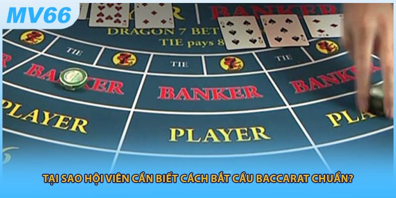 Tại sao hội viên cần biết cách bắt cầu baccarat chuẩn?
